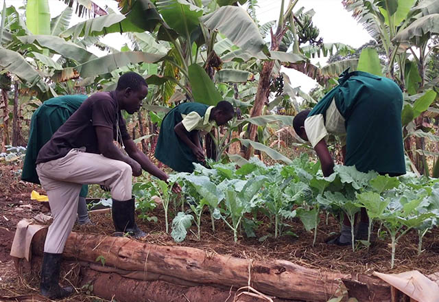 Agriculture program